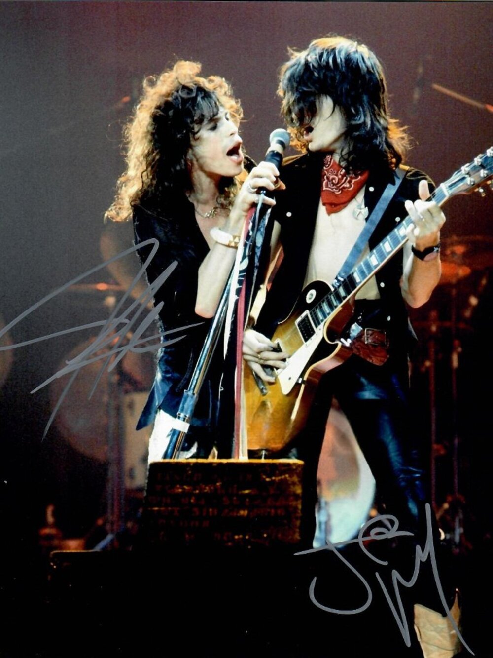 Aerosmith Steven Tyler Joe Perry American Rock Band Signed 8X10 Photo